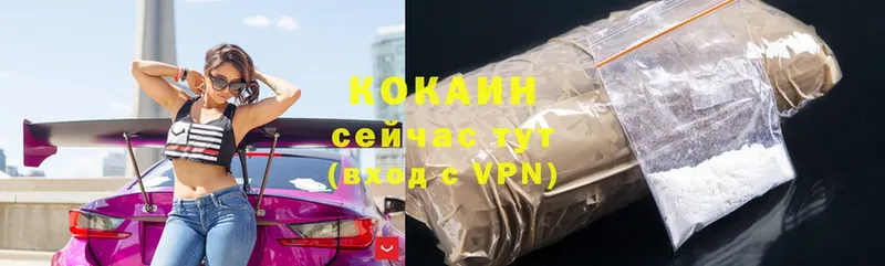 купить закладку  Прохладный  даркнет телеграм  COCAIN Боливия 